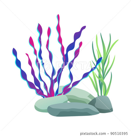 Green and Purple Seaweed, Vector Illustration Green and Purple Seaweed, Vector Illustration 90510395
