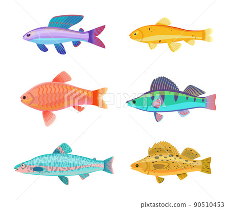 Zebra and Jewel Cichlid Set Vector Illustration 90510453