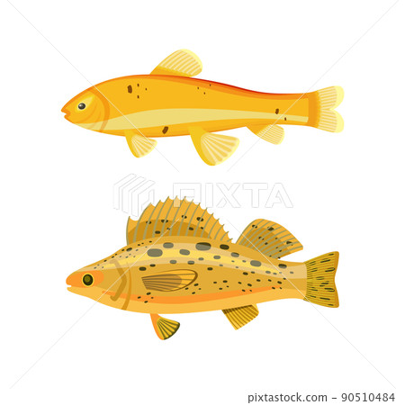 Yellow Fish Types Zebra Set Vector Illustration 90510484