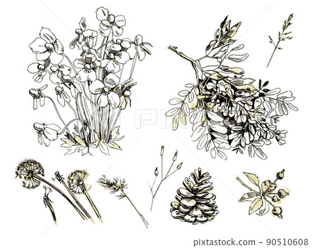Sketches of trees and flowers. Drawing with pencil 90510608