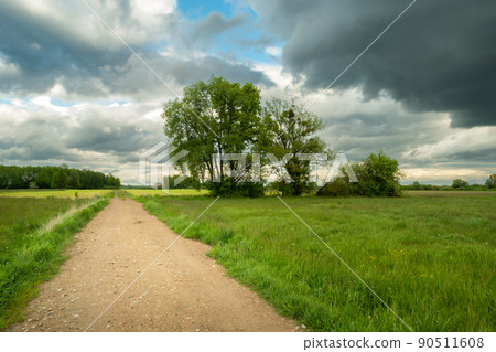 View from the path to green meadows with trees View from the path to green meadows with trees 90511608