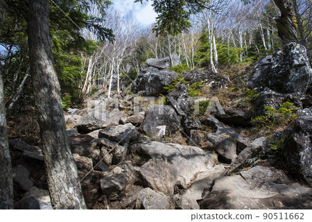 A mountain trail leading to the 8th station of Mt. Nantai, one of the 100 famous mountains in Japan 90511662