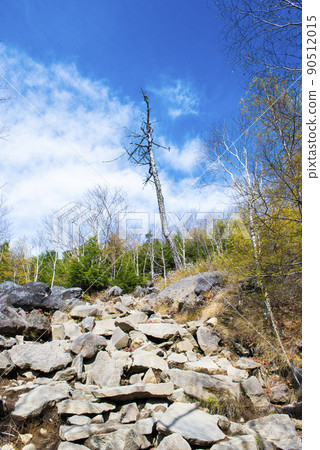 A mountain trail leading to the 7th station of Mt. Nantai, one of the 100 famous mountains in Japan A mountain trail leading to the 7th station of Mt. Nantai, one of the 100 famous mountains in Japan 90512015