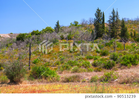 Summer landscape of Zakynthos, Greek island 90513239