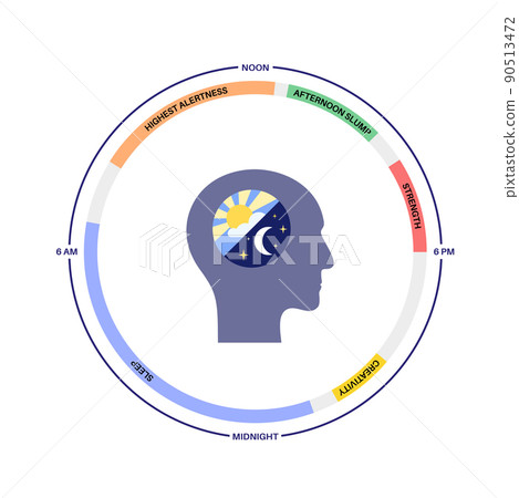 Sleep wake cycle 90513472
