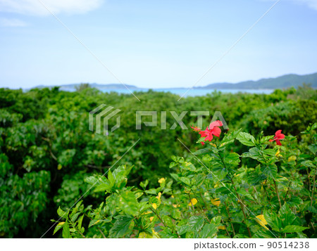 石垣島的風景 石垣島的風景 90514238