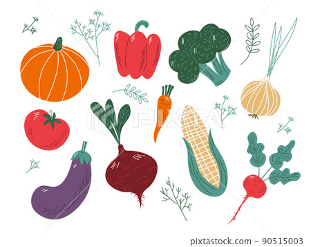 big set of colorful hand drawn fresh delicious vegetables isolated on white background. Flat cartoon vector illustration. EPS 90515003