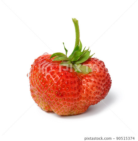 Whole red ripe strawberries with water drops isolated on white background 90515374