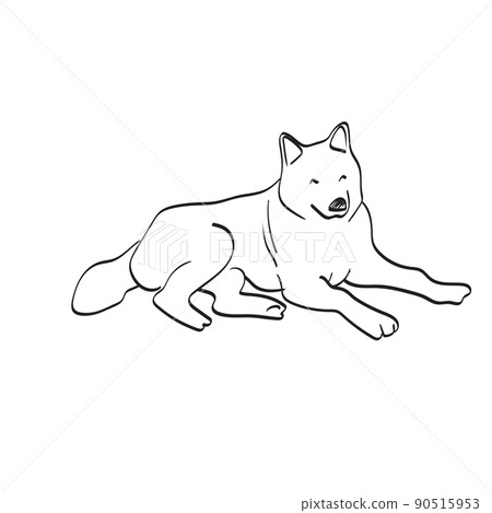 dog laying down on the ground illustration vector hand drawn isolated on white background line art. dog laying down on the ground illustration vector hand drawn isolated on white background line art. 90515953