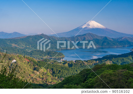 （神奈川縣）箱根大觀山、蘆之湖和富士山的新鮮綠色 90516102