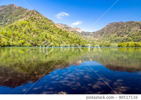 新鮮的綠色湖洋子 90517116