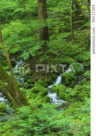 Selected 100 Exquisite and Wells Spring area of Shojinzawa Selected 100 Exquisite and Wells Spring area of Shojinzawa 90517305
