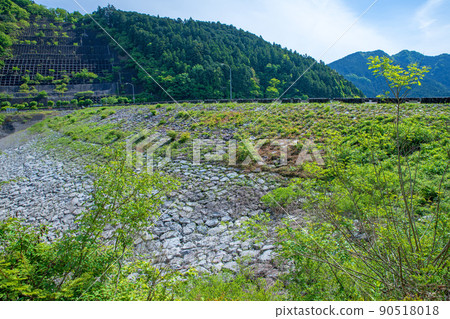 有馬大壩，名古里湖，春天，新鮮的綠色景觀 90518018