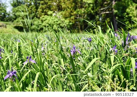 新澤千塚群公園（澤木峽） 90518327