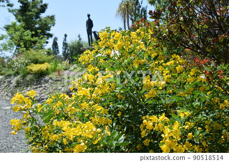 秘密花園 90518514