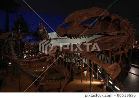 [Katsuyama City, Fukui Prefecture, Fukui Prefectural Dinosaur Museum] A duplicate specimen of Sinosaurus Triacids, one of the three major dinosaur museums in the world 90519656