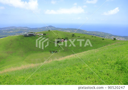 從伊豆高原的大室山看海 90520247