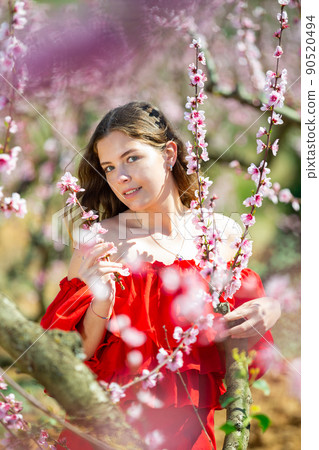 Woman in red dress standing near blooming peach tree Woman in red dress standing near blooming peach tree 90520494