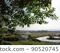 從大村市三六寺運動公園眺望 90520745