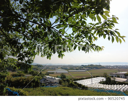 View from Omura City Mirokuji Sports Park View from Omura City Mirokuji Sports Park 90520745