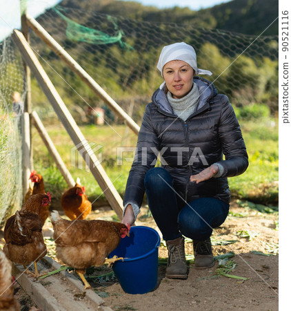 Woman farmer feeding bird in the backyard of a village house Woman farmer feeding bird in the backyard of a village house 90521116