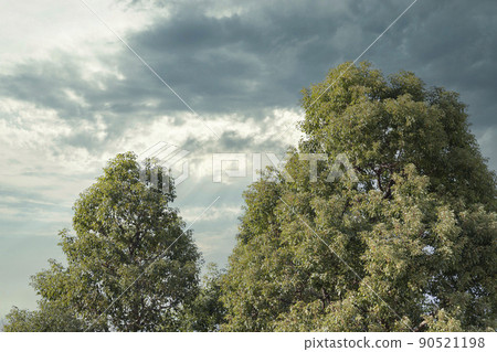 Overseas-style suspicious cloud bound [landscape] 90521198
