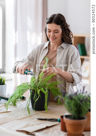 woman cutting flower's leaves with pruner at home woman cutting flower's leaves with pruner at home 90524572