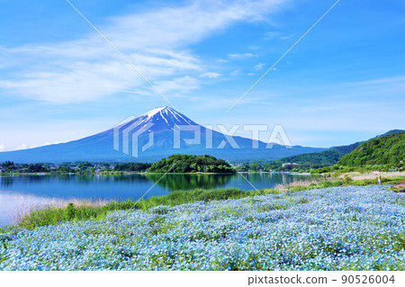 初夏絕景：富士山和海參 90526004