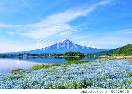 初夏絕景:富士山和海參 初夏絕景:富士山和海參 90526006