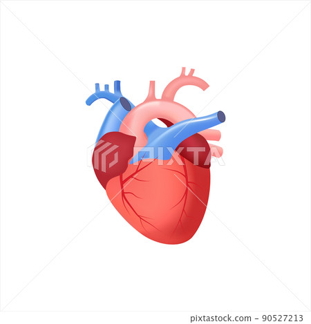 heart on white background heart on white background 90527213