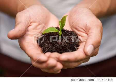 Nurturing new life. Cropped shot of a manamp039s hands holding a pile of soil with a budding plant. Nurturing new life. Cropped shot of a manamp039s hands holding a pile of soil with a budding plant. 90528100