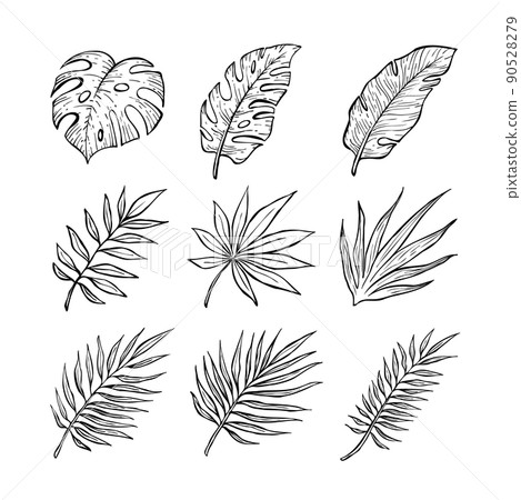 夏季植物和樹葉線條圖的黑白矢量插圖集 夏季植物和樹葉線條圖的黑白矢量插圖集 90528279