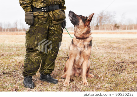 Looking up to his master. An alsatian looking up at his soldier trainer. Looking up to his master. An alsatian looking up at his soldier trainer. 90530252