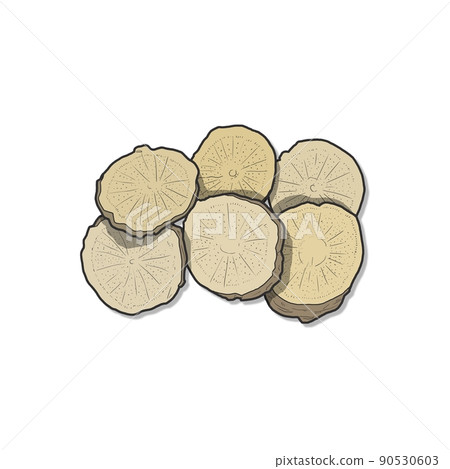 班吉草藥插圖 90530603