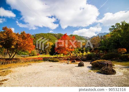 Autumn Shinshu Ueda Autumn leaves Shioda Plain (Kamakura, Shinshu) Chuzenji Temple 90532316