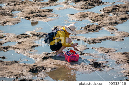 初夏流行的休閒活動,女人享受蛤蜊 初夏流行的休閒活動,女人享受蛤蜊 90532416