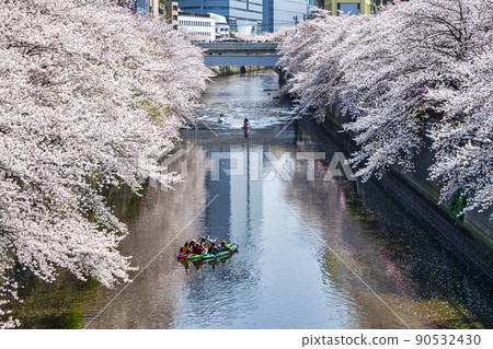 東京目黑川，櫻花盛開，近目黑新橋 90532430