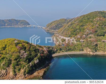 Aerial view along the coast of Gojo Senbon Sakura on Yashiro Island Aerial view along the coast of Gojo Senbon Sakura on Yashiro Island 90532634