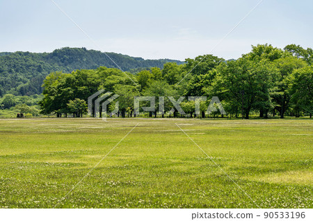 公園風景初夏廣場宮城縣川崎町 公園風景初夏廣場宮城縣川崎町 90533196
