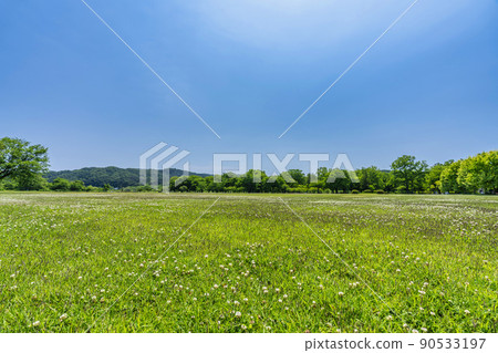 公園風景初夏廣場宮城縣川崎町 公園風景初夏廣場宮城縣川崎町 90533197
