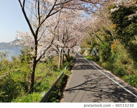 Aerial view of cherry blossom trees near Gojo Ushigane on Yashiro Island Aerial view of cherry blossom trees near Gojo Ushigane on Yashiro Island 90533230