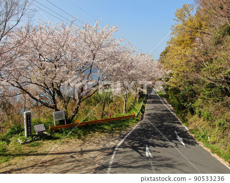 Aerial view of cherry blossom trees near Gojo Ushigane on Yashiro Island Aerial view of cherry blossom trees near Gojo Ushigane on Yashiro Island 90533236