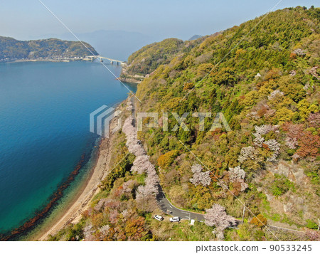 八代島五條牛金附近櫻花樹鳥瞰圖 90533245