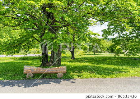 公園風景:宮城縣川崎町新綠的陽光和長椅 公園風景:宮城縣川崎町新綠的陽光和長椅 90533430