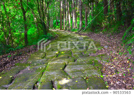 Tatsumonjizaka, Kagoshima Prefecture, has a unique atmosphere with beautiful mossy cobblestones. 90533563