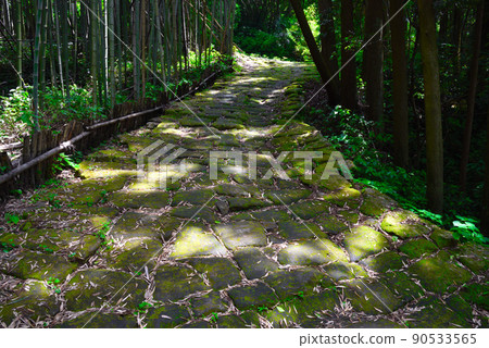 Tatsumonjizaka, Kagoshima Prefecture, has a unique atmosphere with beautiful mossy cobblestones. 90533565