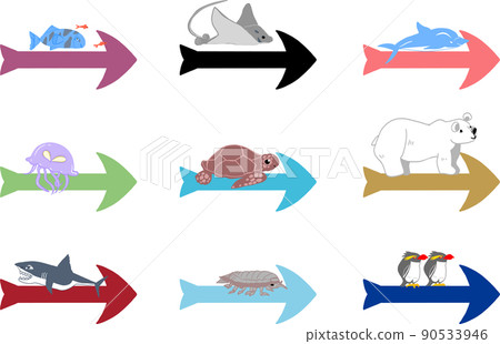 Set of animals and arrows Popular people in the aquarium 02 / Polar bear / Sea turtle / Penguins / Dolphin / Jellyfish etc. 90533946