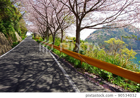 八代島五條千本櫻花沿海路 90534032