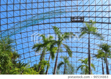 [Tottori Prefecture] Flower Dome in Tottori Flower Park 90534863