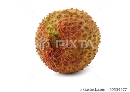 Lychee Lychee 90534977